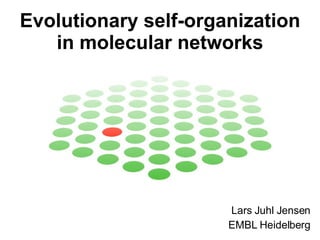 Evolutionary self-organization in molecular networks Lars Juhl Jensen EMBL Heidelberg 