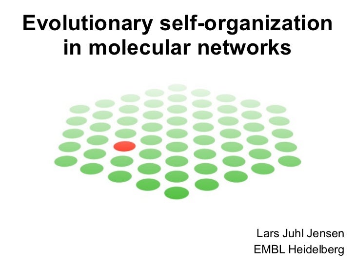 Evolutionary Self Organization In Molecular Networks - 