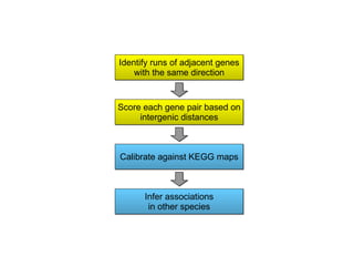 Identify runs of adjacent genes with the same direction Score each gene pair based on intergenic distances Calibrate against KEGG maps Infer associations in other species 
