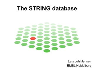 The STRING database Lars Juhl Jensen EMBL Heidelberg 
