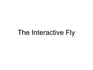 The Interactive Fly