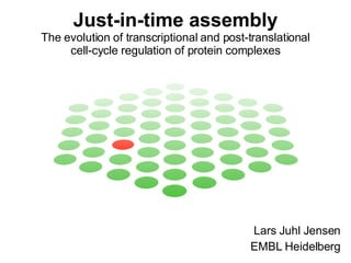 Just-in-time assembly The evolution of transcriptional and post-translational cell-cycle regulation of protein complexes Lars Juhl Jensen EMBL Heidelberg 