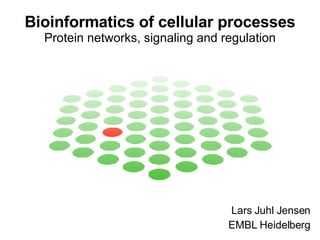 Bioinformatics of cellular processes Protein networks, signaling and regulation Lars Juhl Jensen EMBL Heidelberg 