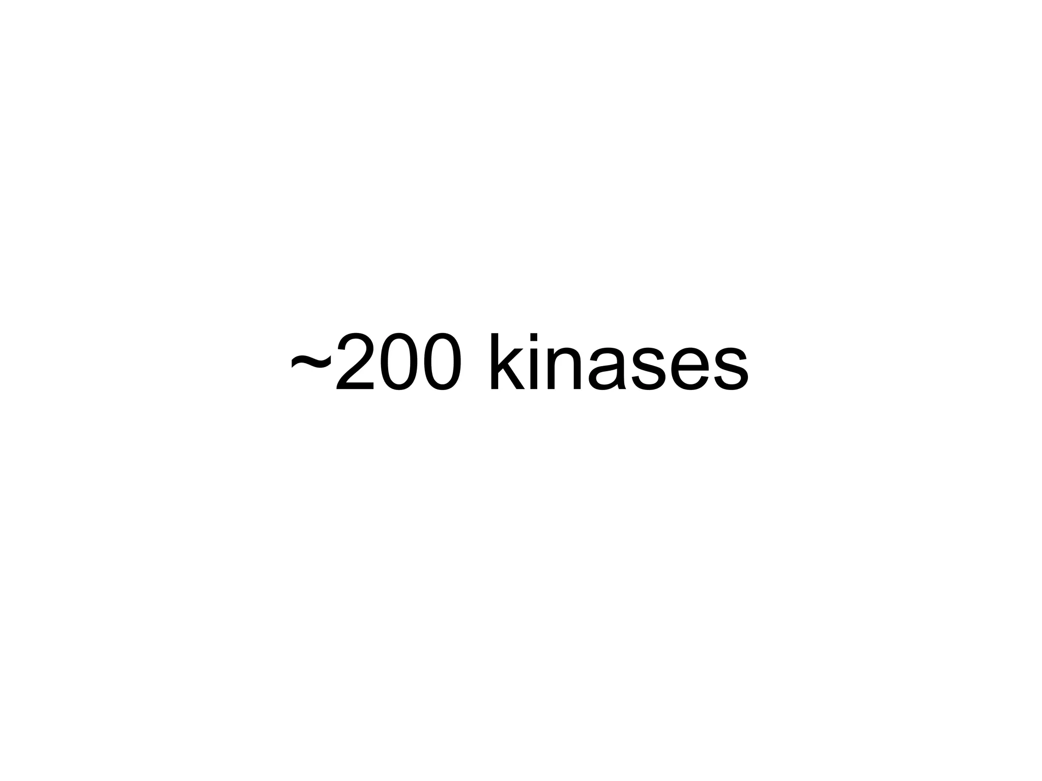 ~200 kinases 