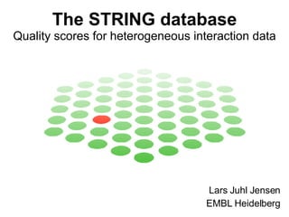 The STRING database Quality scores for heterogeneous interaction data Lars Juhl Jensen EMBL Heidelberg 