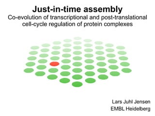 Just-in-time assembly Co-evolution of transcriptional and post-translational cell-cycle regulation of protein complexes Lars Juhl Jensen EMBL Heidelberg 