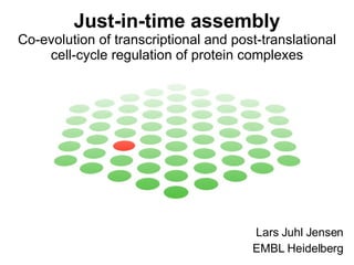 Just-in-time assembly Co-evolution of transcriptional and post-translational cell-cycle regulation of protein complexes Lars Juhl Jensen EMBL Heidelberg 