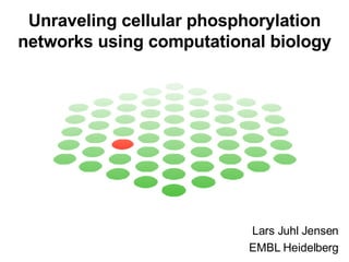 Unraveling cellular phosphorylation networks using computational biology Lars Juhl Jensen EMBL Heidelberg 