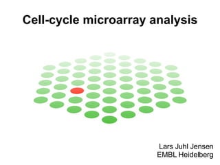 Cell-cycle microarray analysis Lars Juhl Jensen EMBL Heidelberg 