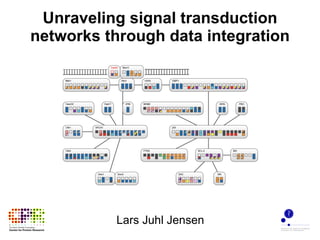 Unraveling signal transduction networks through data integration Lars Juhl Jensen 