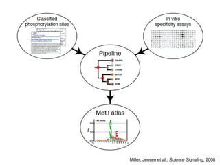 Miller, Jensen et al.,  Science Signaling , 2008 