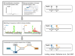 Linding, Jensen, Ostheimer et al.,  Cell , 2007 