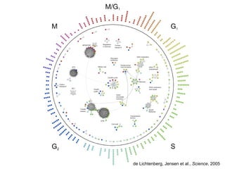 de Lichtenberg, Jensen et al.,  Science , 2005 