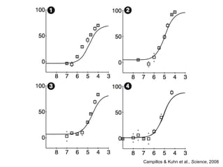Campillos & Kuhn et al.,  Science , 2008 