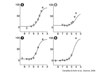 Campillos & Kuhn et al.,  Science , 2008 