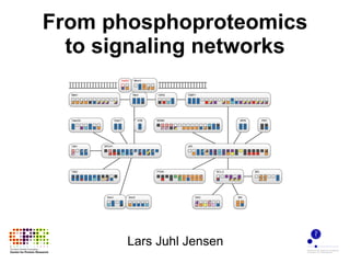 From phosphoproteomics to signaling networks Lars Juhl Jensen 