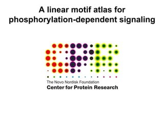 A linear motif atlas for phosphorylation-dependent signaling 