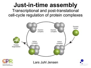Just-in-time assembly Transcriptional and post-translational cell-cycle regulation of protein complexes Lars Juhl Jensen 