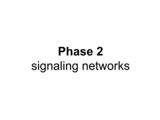 Phase 2
signaling networks
 