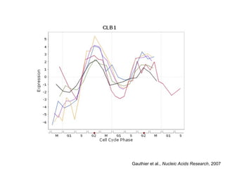 Gauthier et al., Nucleic Acids Research, 2007
 
