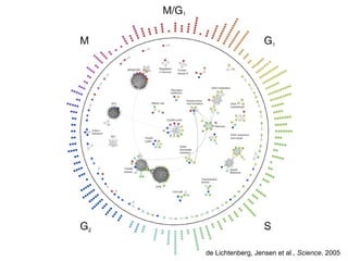 de Lichtenberg, Jensen et al., Science, 2005
 
