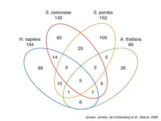 Jensen, Jensen, de Lichtenberg et al., Nature, 2006
 
