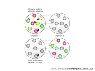 Jensen, Jensen, de Lichtenberg et al., Nature, 2006
 
