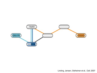 Linding, Jensen, Ostheimer et al., Cell, 2007
 