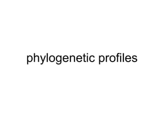 phylogenetic profiles
 