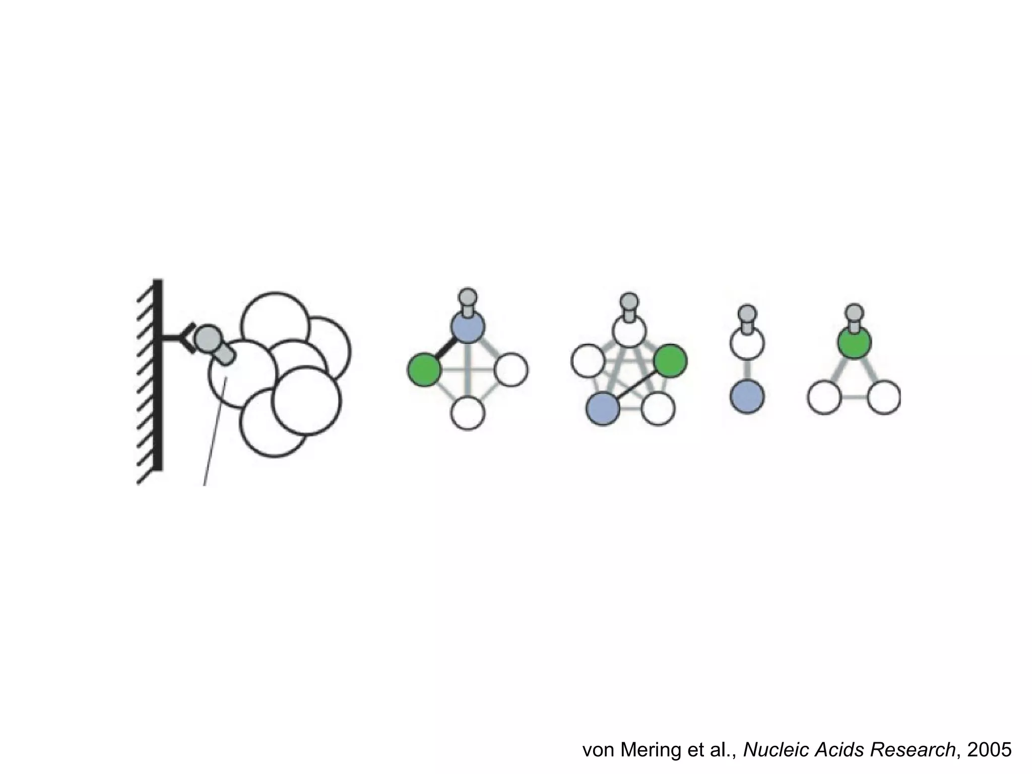 von Mering et al.,  Nucleic Acids Research , 2005 