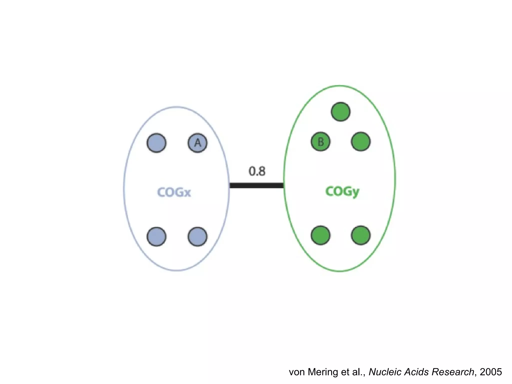 von Mering et al.,  Nucleic Acids Research , 2005 