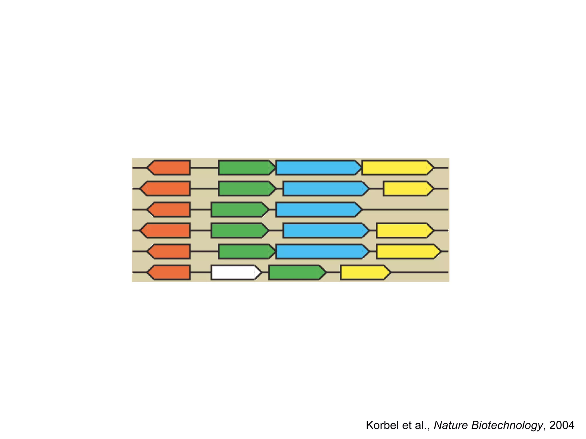Korbel et al.,  Nature Biotechnology , 2004 