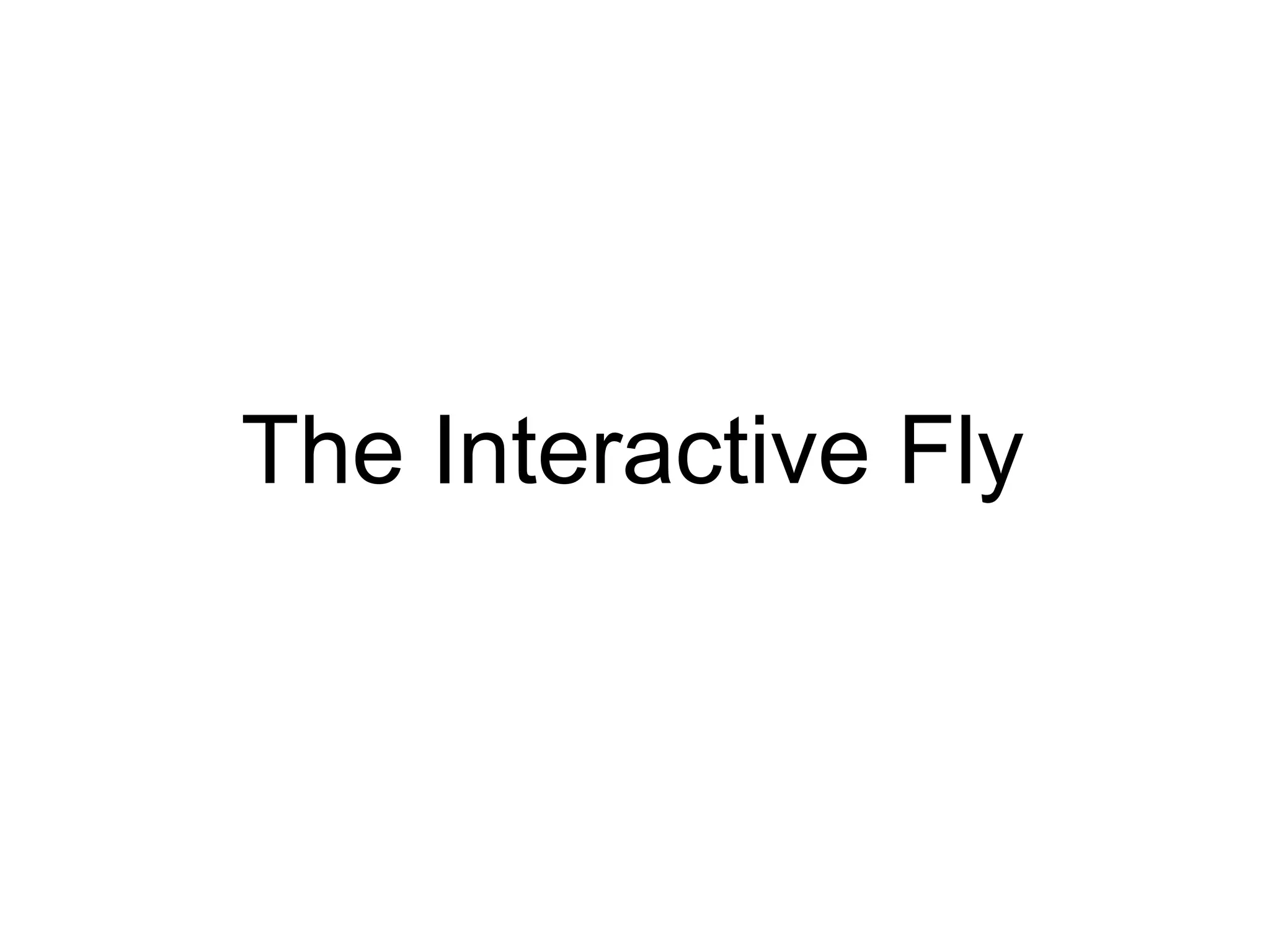 The Interactive Fly 