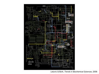 Letunic & Bork,  Trends in Biochemical Sciences , 2008 
