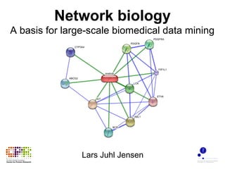 Network biology
A basis for large-scale biomedical data mining
Lars Juhl Jensen
 