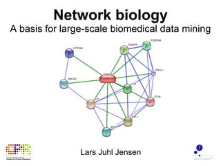 Network biology A basis for large-scale biomedical data mining Lars Juhl Jensen 