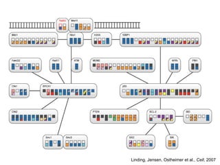 Linding, Jensen, Ostheimer et al.,  Cell , 2007 