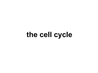 the cell cycle 