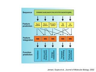 Jensen, Gupta et al.,  Journal of Molecular Biology , 2002 