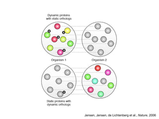 Jensen, Jensen, de Lichtenberg et al.,  Nature , 2006 