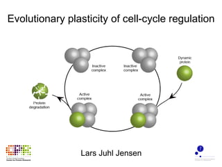 Evolutionary plasticity of cell-cycle regulation Lars Juhl Jensen 