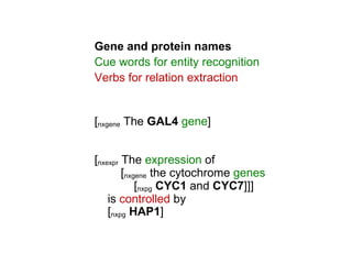 Gene and protein names
Cue words for entity recognition
Verbs for relation extraction


[nxgene The GAL4 gene]


[nxexpr The expression of
        [nxgene the cytochrome genes
            [nxpg CYC1 and CYC7]]]
    is controlled by
    [nxpg HAP1]
 