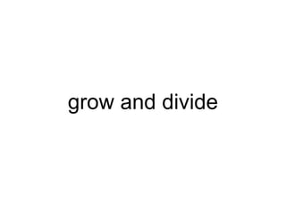 grow and divide
 