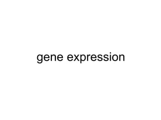 gene expression
 
