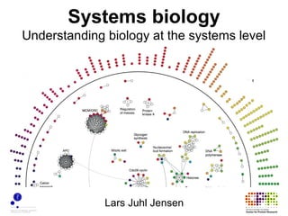 Systems biology
Understanding biology at the systems level




              Lars Juhl Jensen
 