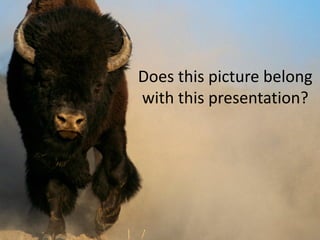 Does this picture belong
with this presentation?
 