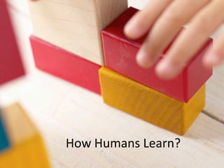 How Humans Learn?
 