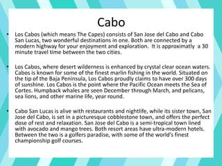 Cabo
• Los Cabos (which means The Capes) consists of San Jose del Cabo and Cabo
San Lucas, two wonderful destinations in one. Both are connected by a
modern highway for your enjoyment and exploration. It is approximatly a 30
minute travel time between the two cities.
• Los Cabos, where desert wilderness is enhanced by crystal clear ocean waters.
Cabos is known for some of the finest marlin fishing in the world. Situated on
the tip of the Baja Peninsula, Los Cabos proudly claims to have over 300 days
of sunshine. Los Cabos is the point where the Pacific Ocean meets the Sea of
Cortes. Humpback whales are seen December through March, and pelicans,
sea lions, and other marine life, year round.
• Cabo San Lucas is alive with restaurants and nightlife, while its sister town, San
Jose del Cabo, is set in a picturesque cobblestone town, and offers the perfect
dose of rest and relaxation. San Jose del Cabo is a semi-tropical town lined
with avocado and mango trees. Both resort areas have ultra-modern hotels.
Between the two is a golfers paradise, with some of the world’s finest
championship golf courses.
 