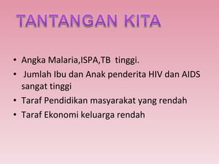 Angka Malaria,ISPA,TB  tinggi. Jumlah Ibu dan Anak penderita HIV dan AIDS sangat tinggi  Taraf Pendidikan masyarakat yang rendah Taraf Ekonomi keluarga rendah 