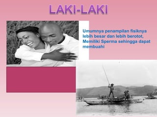 Umumnya penampilan fisiknya lebih besar dan lebih berotot, Memiliki Sperma sehingga dapat membuahi  